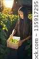 Woman from East Asian is delicately carrying green bell peppers in a woven basket. Gentle rays of the sun shine through foliage. Eco-friendly plants. 135917295