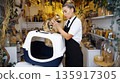 Middle Eastern female pet shop seller is taking cat out of a travel carrier for customer. Pet shop with pastel walls and shelves of organic pet treats 135917305