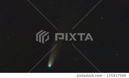 萊蒙彗星(C/2025A6) 萊蒙彗星(C/2025A6) 135917509