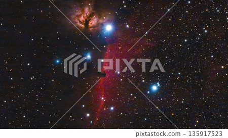 Horsehead Nebula and Burning Trees Nebula (NGC2024) Horsehead Nebula and Burning Trees Nebula (NGC2024) 135917523