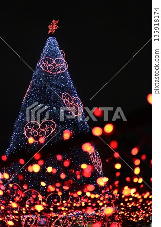  聖誕燈飾 135918174