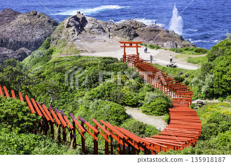 擁有123座紅色鳥居的壯麗景色的元乃隅神社（山口縣長門市） 135918187