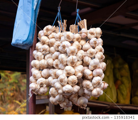 Garlic hanging on market stall 135918341