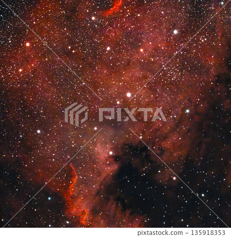 North American Nebula (NGC7000, C20) 135918353