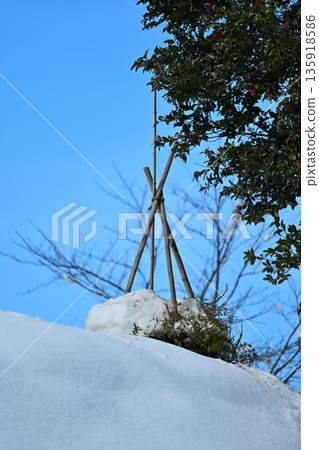 Snow-covered bamboo fence and winter garden Snow-covered bamboo fence and winter garden 135918586