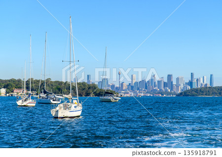 Cityscape view of Sydney, Australia Cityscape view of Sydney, Australia 135918791