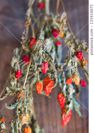 Beautiful dried flower wreath hanging on the wall 135918875