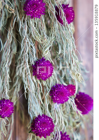 牆上掛著美麗的乾燥花花環。 135918879