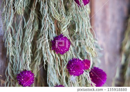 Beautiful dried flower wreath hanging on the wall 135918880