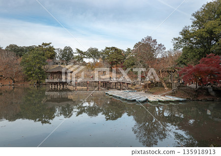 [Autumn leaves] Autumn in Nara Park: Ukimi-do floating on Sagi Pond 135918913