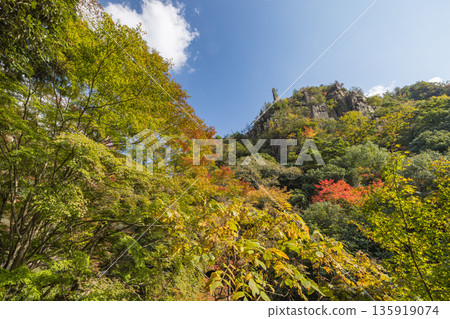 位於日本岡山縣總社市高橋川支流牧谷川上游的五景川以及肯坊山和雲台山的秋葉 位於日本岡山縣總社市高橋川支流牧谷川上游的五景川以及肯坊山和雲台山的秋葉 135919074