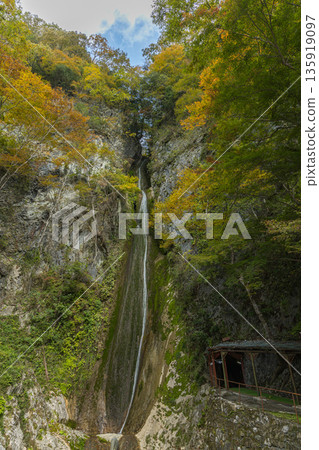 日本岡山縣新見市的鬼梶瀑布和秋葉 135919097