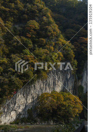 Takahashi River flowing along Ikura Gorge in Niimi City, Okayama Prefecture, Japan, and autumn leaves 135919104