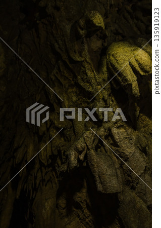 日本岡山縣新見市伊倉洞的鐘乳石 135919123