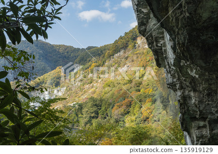 日本岡山縣新見市伊倉峽的懸崖峭壁和秋葉 日本岡山縣新見市伊倉峽的懸崖峭壁和秋葉 135919129