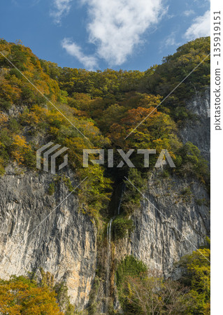 Autumn leaves at Ikura Gorge and Ikura Falls in Niimi City, Okayama Prefecture, Japan Autumn leaves at Ikura Gorge and Ikura Falls in Niimi City, Okayama Prefecture, Japan 135919151
