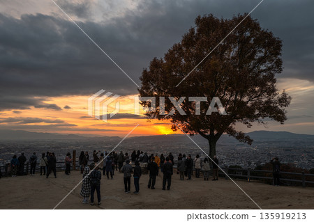 [Autumn] Nara Park - View from Mount Wakakusa 135919213