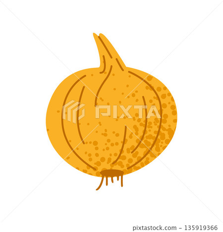 Fresh Onion Bulb Vegetable Illustration Fresh Onion Bulb Vegetable Illustration 135919366