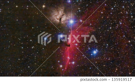 Horsehead Nebula and Burning Trees Nebula (NGC2024) 135919517
