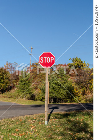 A stop sign is standing in a field with trees in the background A stop sign is standing in a field with trees in the background 135919747