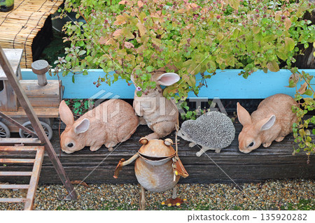 Flower corridor flower bed 135920282