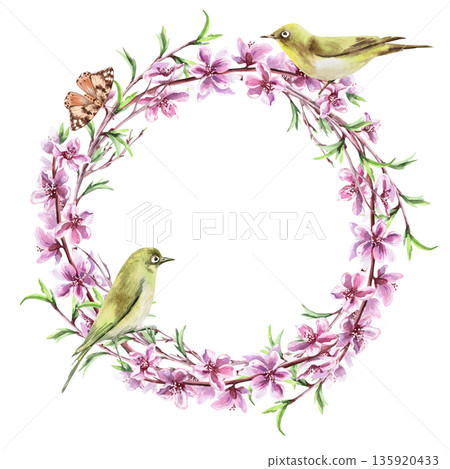 A wreath of blooming peach branches with two birds and a butterfly. Isolated watercolor illustration in a realistic style for postcards, interiors, spring holidays, packaging, and poster printing. 135920433