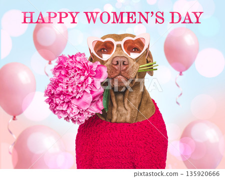 Happy Women's Day. Cute dog and congratulatory inscription Happy Women's Day. Cute dog and congratulatory inscription 135920666