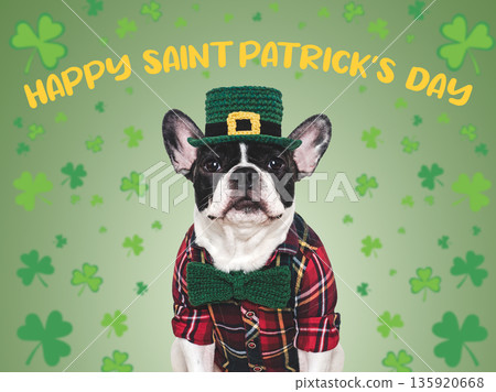 Happy Saint Patrick's Day. Cute puppy and congratulatory message 135920668