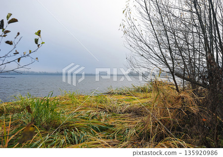 view of the humpback bridge over the Volga river 135920986