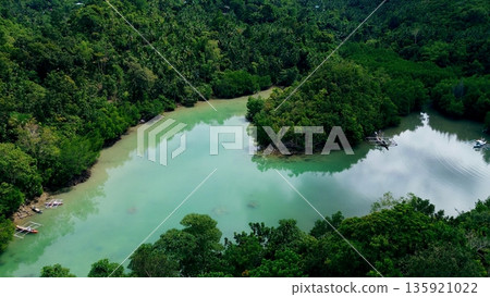 Aerial drone view of outrigger boats moored in a secluded lagoon with turquoise water surrounded by dense forest in a peaceful atmosphere. Sambulawan Sipalay, Negros Occidental, Philippines Aerial drone view of outrigger boats moored in a secluded lagoon with turquoise water surrounded by dense forest in a peaceful atmosphere. Sambulawan Sipalay, Negros Occidental, Philippines 135921022