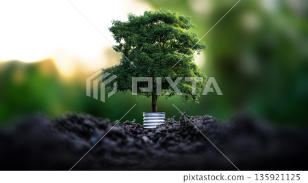 Renewable energy concept Earth Day or environment protection Hands protect forests that grow on the ground and help save the world. Renewable energy concept Earth Day or environment protection Hands protect forests that grow on the ground and help save the world. 135921125