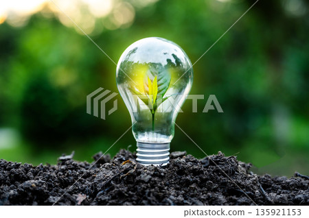 Renewable energy concept Earth Day or environment protection Hands protect forests that grow on the ground and help save the world. 135921153