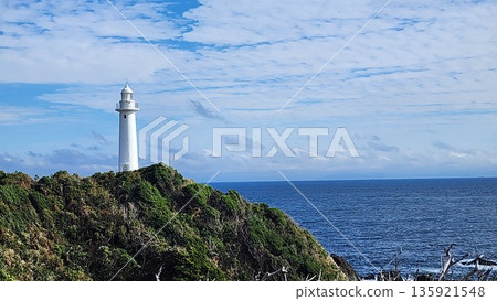 靜岡縣妻崎市的妻崎燈塔和太平洋 135921548