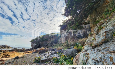 Tsumekizaki, Shizuoka Prefecture, near Ikenodan Beach 135921553