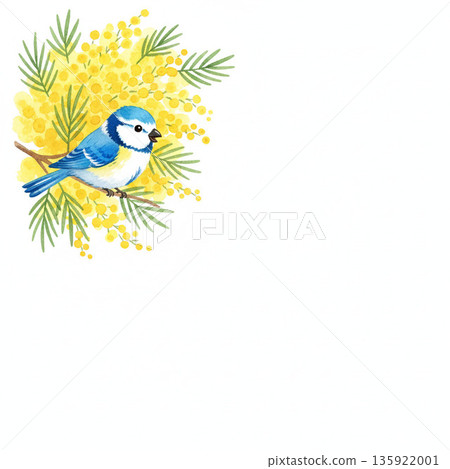 含羞草系列：角落插圖，一隻快樂的藍鳥棲息在含羞草枝上 135922001
