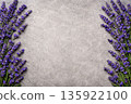 Concrete wall and lavender decoration background 135922100
