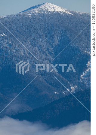 Snowy alpine forested mountain ridge under blue sky with mist and distant peaks 135922190
