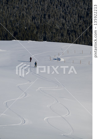 Two skiers carve winding tracks across a snowy slope toward a forested horizon 135922213