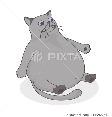 cat-surprising cat-surprising 135922519