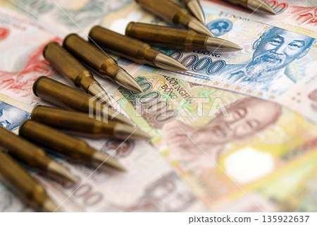 Vietnamese dong currency money bills and rifle bullets close up. The concept of warfare and gun selling 135922637