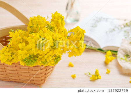 籃子裡裝飾著油菜花 135922759