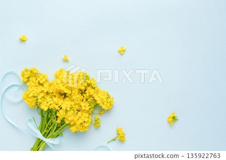 油菜花束藍色背景 油菜花束藍色背景 135922763