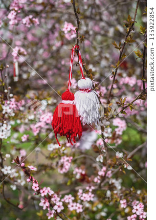 Close-up of traditional Martenitsa tassels tied on blooming tree for spring celebration. Martenitsa ritual, bulgarian folklore, seasonal renewal, cultural heritage 135922854