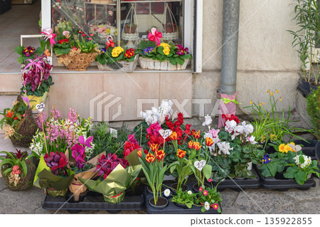 Colorful potted flowers and blooming plants arranged outside small flower shop. Spring floral retail charm, vibrant botanical variety Colorful potted flowers and blooming plants arranged outside small flower shop. Spring floral retail charm, vibrant botanical variety 135922855