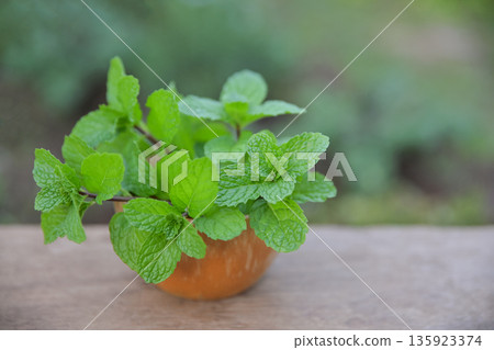 spearmint in herbal garden for use as a healthy eating food 135923374