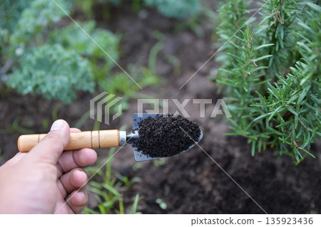 old coffee powder filter for  use as a fertilize to plants 135923436
