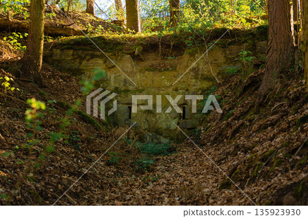 Ancient moss-covered stone wall with narrow openings hidden in Czech forest near Nova Zivohost 135923930
