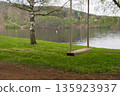 Wooden swing hanging near lake shore with forested hills in Nova Zivohost, Czech Republic. 135923937