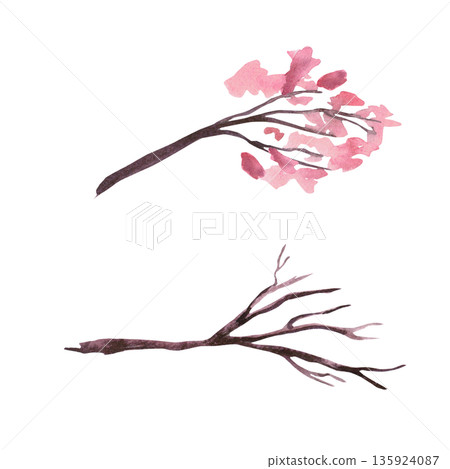 A set of two branches with and without flowers. Isolated watercolor illustration in a la prima style for postcards, interiors, spring holidays, packaging, and poster printing. A set of two branches with and without flowers. Isolated watercolor illustration in a la prima style for postcards, interiors, spring holidays, packaging, and poster printing. 135924087