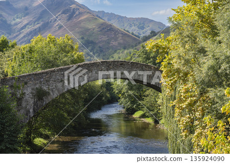 France, Pyrenees-Atlantiques, Saint-Etienne-de-Baigorry, the Roman bridge crossed by the Nive des France, Pyrenees-Atlantiques, Saint-Etienne-de-Baigorry, the Roman bridge crossed by the Nive des 135924090